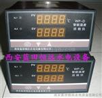 上海WP-D807智能温度巡检仪WP-D807-02-23-HHL-T