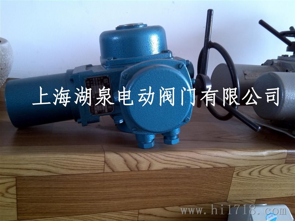 部分回转电动头