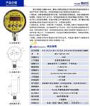 凯迅电子  标点 数字压力控制表BD-801KB/801KB-ZT