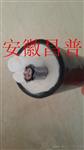 安徽昌普生产cems伴热管缆 cems取样管伴热管BRG-D40-FEPФ9.0-2Ф6.0