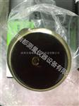 销售日本JPG环规M30P1.5GPIP