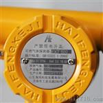 EXT500气体探测器