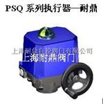 PSQ101