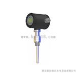 PTK31智能温度变送器PTK31-200/13/12-TH温度计