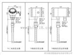 PTK31智能温度变送器PTK31-200/13/12-TH温度计