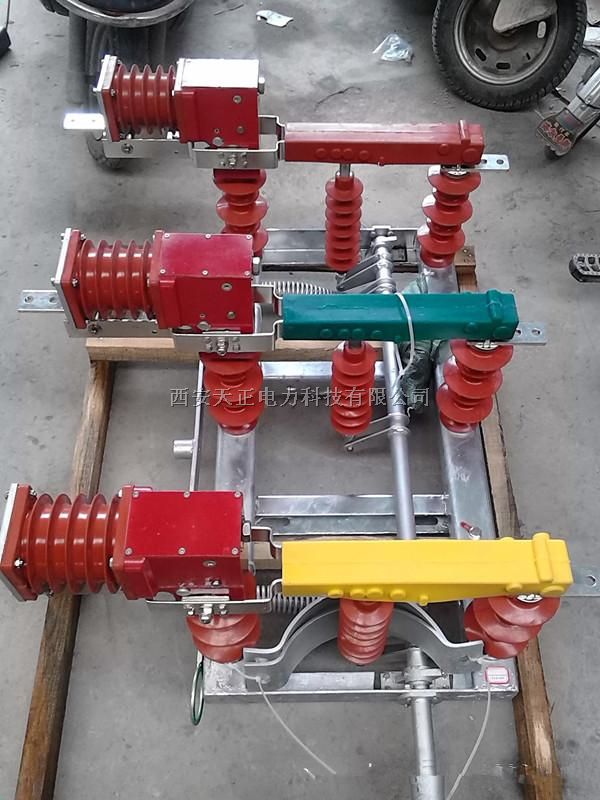 > 10kv户外高压真空负荷开关价格 > 高清图片