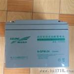 科华蓄电池12V65AH/6-GFM-65上海代理商报价