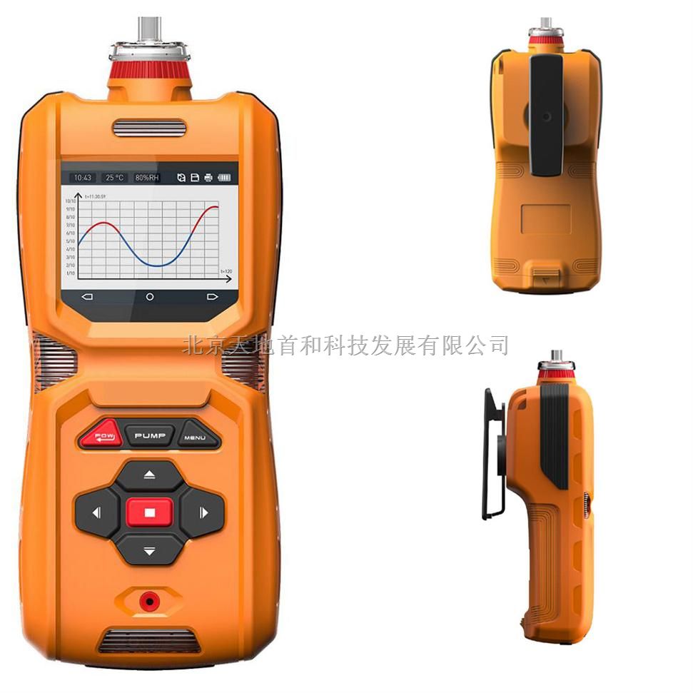 内置泵吸式测量的甲硫醇分析仪器TD400-SH-CH4S高清彩屏显示实时浓度