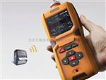 外型尺寸防护等级通讯接口便携式甲硫醇测定仪TD600-SH-CH4S