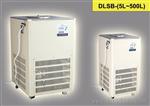 DL-50低温冷却液循环泵，上海低温冷却液循环泵厂家