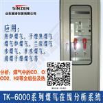 新泽仪器TK-3000型密闭窑炉尾气分析成套系统，电石炉尾气在线分析系统？