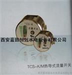 创蓝田品牌TCS-K热导式流量开关TCS-K-24VDC安装螺纹