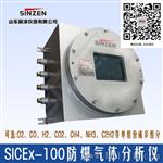 S2000系列气体分析仪山东新泽仪器，SENZEN牌一氧化碳检测仪