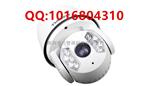 江苏省天地伟业摄像机总代理 200万像素高清网络红外球 TC-NH9806S6-2MPIR-CW