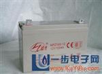 蓝肯蓄电池12V100AH