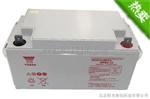 广东汤浅蓄电池NP100-12铅酸免维护蓄电池12V100AH16年新报价
