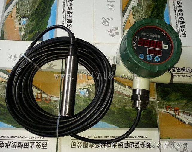 投入式液位变送器LTJ31-12/13显示器