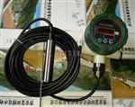 投入式液位变送器LTJ31-12/13显示器