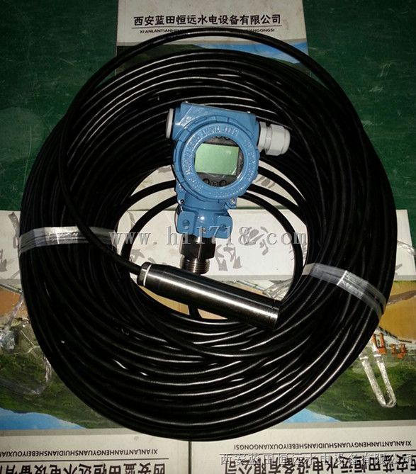 投入式液位变送器LTJ31-12/13显示器