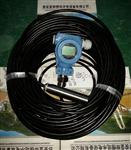 投入式液位变送器LTJ31-12/13显示器