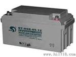 赛特蓄电池BT-HSE-65-12 12V65AH