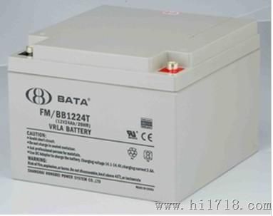 鸿贝蓄电池FM/BB12100T BATA蓄电池12V100AH