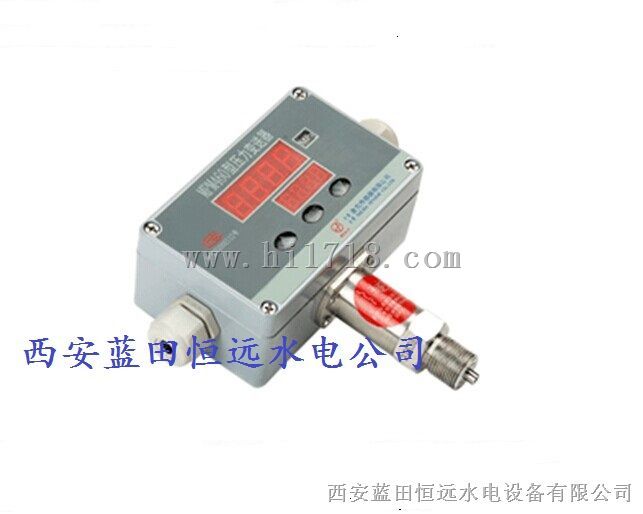 顶盖压力变送器MPM460压力检测器