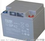 供应广西蓄电池12SP80FIAMM12V80AH不间断电源铅酸免维护蓄电池