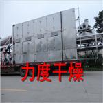 棕榈纤维真空带式干燥机，DW系列链条式网带干燥机