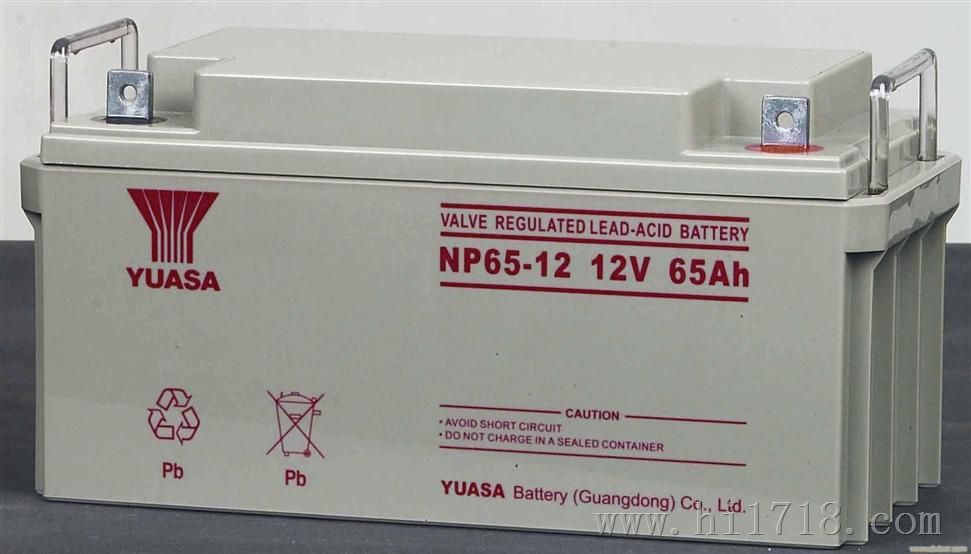供应汤浅蓄电池NP24-12/12V24AH机房蓄电池