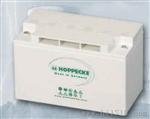 荷贝克12V80AH   德阳蓄电池销售中心