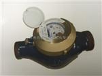 申舒斯SENSUS水表/WPD-40水平螺翼式水表/德国申舒斯SENSUS品牌