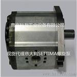 螺旋泵GR55-2V-090CC-FSAEBAC意大利SETTIMA