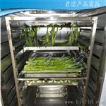 海鲜/鱼类烘干机 小鱼/虾热风循环烘箱 气电两用食品烘箱