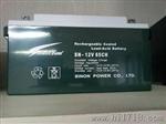 德国赛能蓄电池12V38AH现货