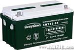 德国赛能蓄电池12V65AH价格参数