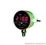 恒远XS-2100智能压力控制器检测
