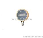 PTS31智能压力变送控制器PTS31-27-5-T41管径