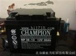蓄电池NP100-12代理商