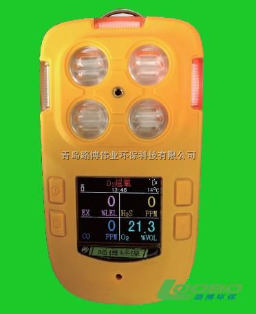 多气体检测报警仪