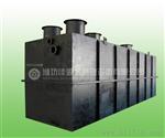 R膜处理器R膜一体化污水处理设备供应厂家销售价格