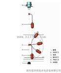 浮球液位控制开关MBBC4C4-15M液位开关