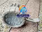 BAK85爆LED视孔灯20w,反应釜爆腐视镜灯