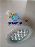 BAK85爆LED视孔灯20w,反应釜爆腐视镜灯