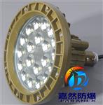 BAK85爆LED视孔灯20w,反应釜爆腐视镜灯