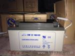 理士蓄电池DJM12-200价格