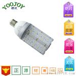 乡村小路灯LED 40W E40