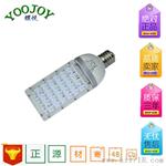 乡村小路灯LED 40W E40