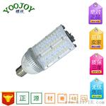 乡村小路灯LED 40W E40