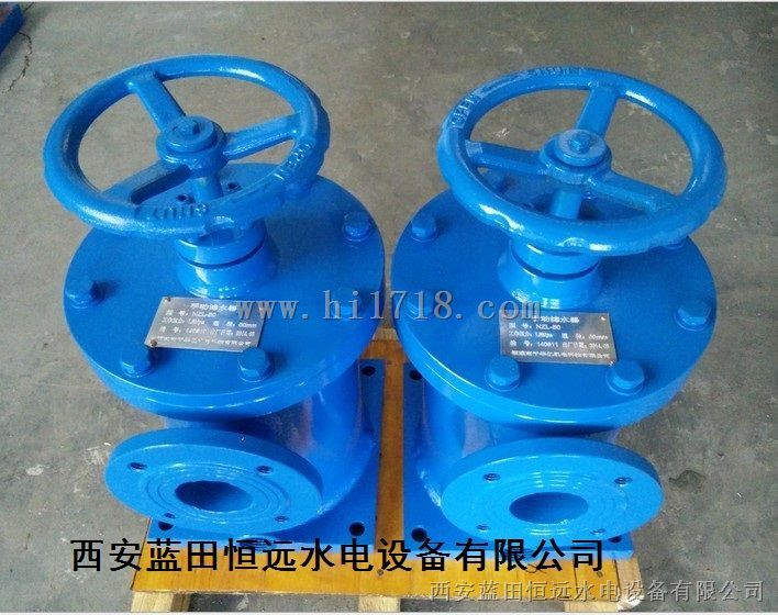 蓝田恒远GLS固定式滤水器GLS-100/80